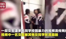 河南爆料女孩视频播放网站,揭秘网络传播背后的真相
