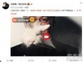 长沙婚外情爆料事件最新,真相揭露，家庭危机引发社会关注