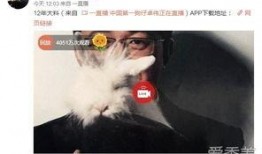 长沙婚外情爆料事件最新,真相揭露，家庭危机引发社会关注