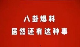 娱乐八怪爆料小说免费阅读