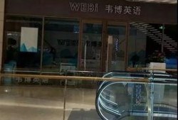 北京韦博最新爆料,揭秘教育机构内幕与变革动态