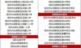 罗沙最新爆料电话号码,揭秘神秘电话号码背后的惊人真相