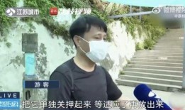 网红吃瓜情侣是谁呀,他们的甜蜜瓜田生活