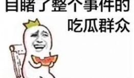 佛系吃瓜女施主小说免费阅读,佛系吃瓜女施主的悠闲人生