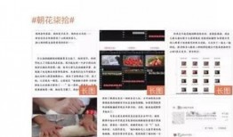 那些真实的爆料视频,爆料视频背后的惊人内幕