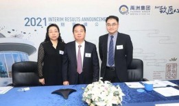 禹洲集团最新爆料,揭秘企业转型与未来发展蓝图
