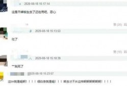 郑燕姿爆料公众号视频,揭秘幕后的真实故事与心路历程