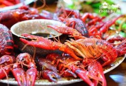 龙虾完整 在线观看,一场味蕾与视觉的盛宴