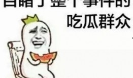 沙雕吃瓜系统娱乐圈小说,沙雕吃瓜系统，带你笑看风云变幻