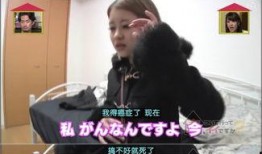 深夜成人综艺在线观看,揭秘热门节目在线观看攻略