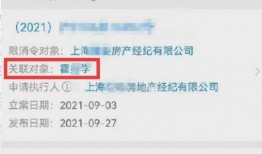 郑燕姿爆料公众号视频,揭秘幕后的真实故事与心路历程