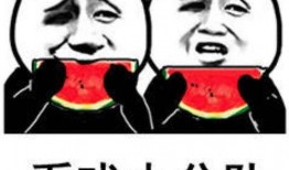 沙雕吃瓜系统娱乐圈小说,沙雕吃瓜系统，带你笑看风云变幻
