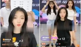 涵艺爆料全过程视频下载,揭秘事件真相与幕后故事