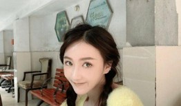 申驰前女友爆料视频,揭秘昔日恋情背后的真相