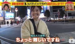 深夜成人综艺在线观看,揭秘热门节目在线观看攻略
