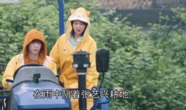 陈赫早期爆料视频大全,揭秘娱乐圈那些不为人知的幕后故事