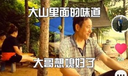 大山哥视频爆料大全,揭秘幕后真相，带你走进事件核心