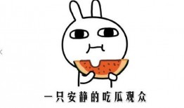 抖音吃瓜有什么网红吗,揭秘热门网红背后的故事